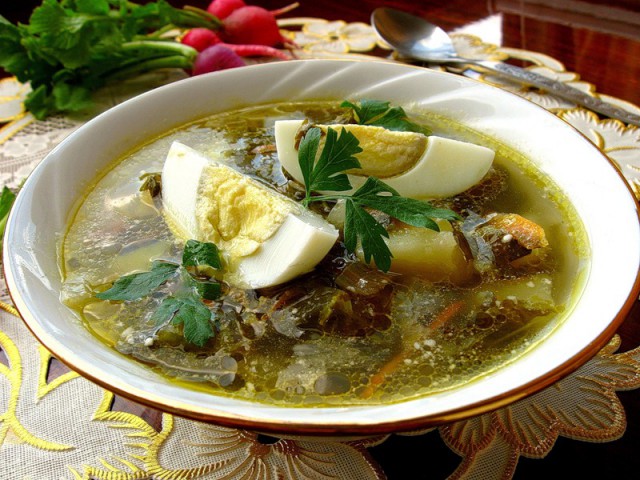 Юкка: уход и размножение