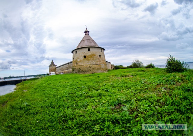 Как мы купили машину и попали в «Орешек»