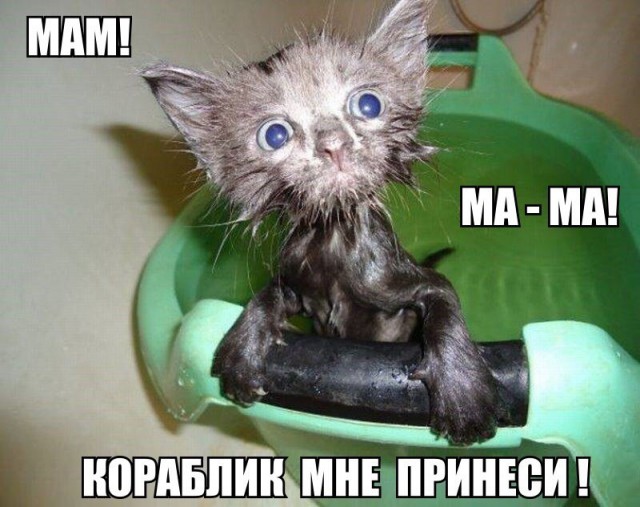 Просто картинки