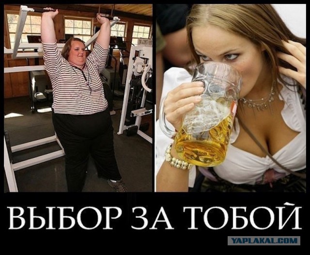Котовторник, собакочетверг... Да здравствует водкопятница!