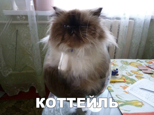 Немного милоты