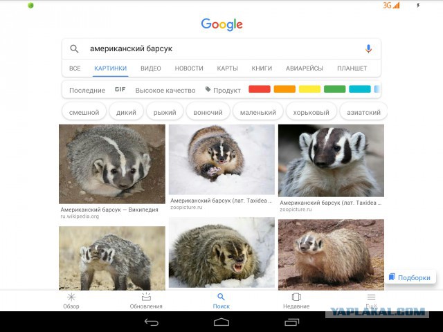 Нестандартный юмор