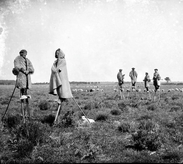 Интересные и редкие фотографии