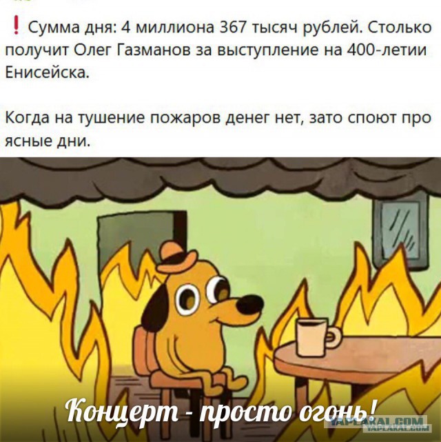 Депутат предложила бомбить горящие в Сибири леса 