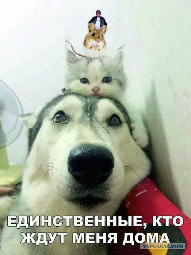 Так себе картинки 07.05.20