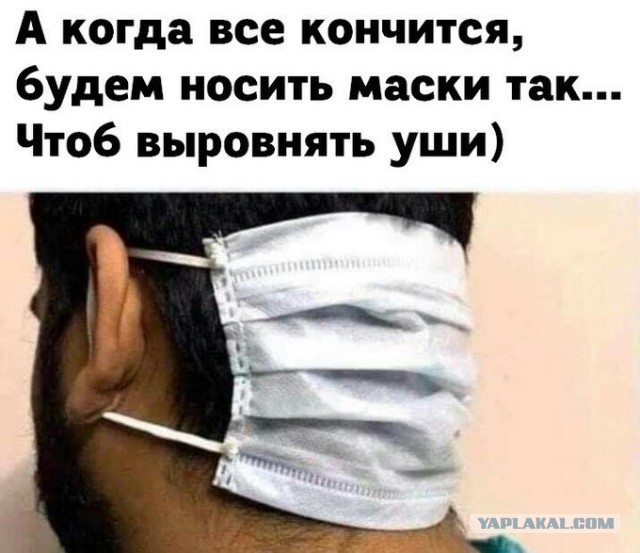 Бредзона 06.11.2020