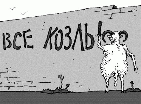 На Алтае директора экологического фонда задержали за охоту на краснокнижного барана