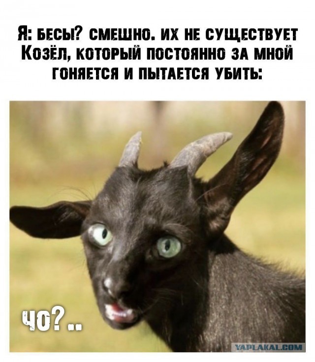 Подборка тупого йумора для деградатов