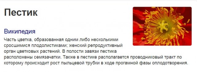 Минобороны начало массовую закупку нового пистолета «Удав»