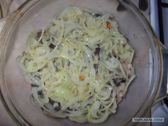 Фасоль – International, Или «Веселые нотки»