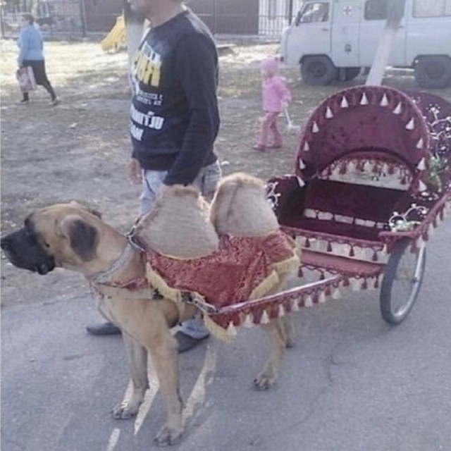 Нэйминг и не только