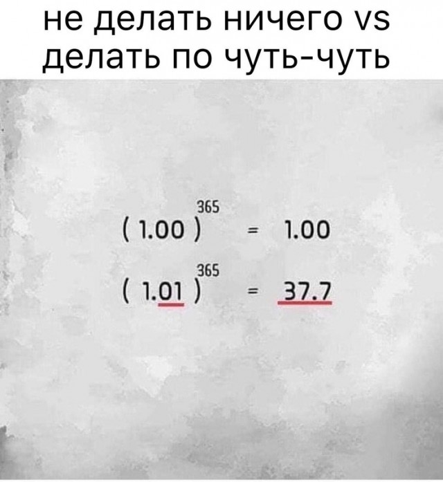 Весёлый полтишок 23.09