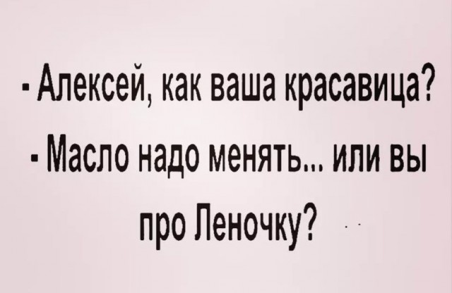 "Купил коту игрушку" и другие картинки