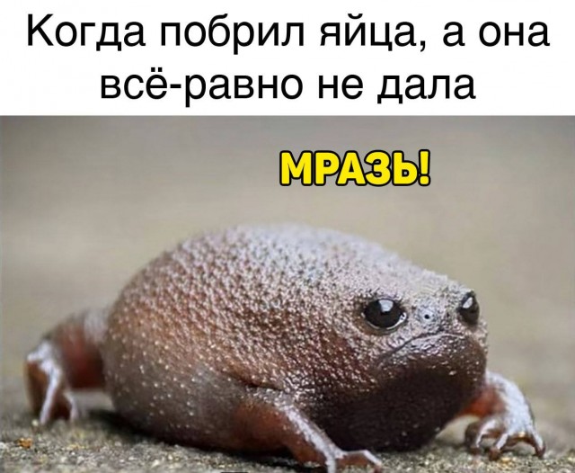 Картинки аморальные и всякие разные - 22