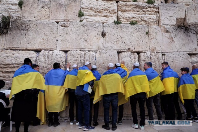 Молдавия в ужасе от украинских «бедных» беженцах
