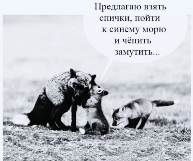 Пятница. Вечер. Картинки всякие #8