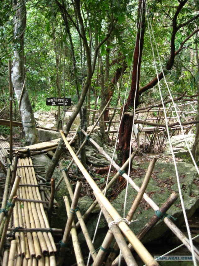 Такой разный остров Самуи