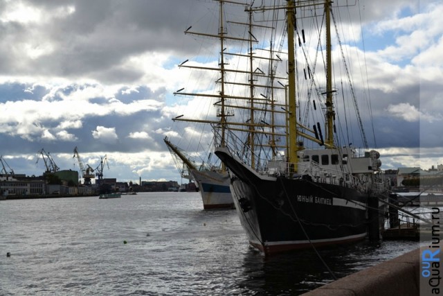 СПб глазами уставшего туриста...