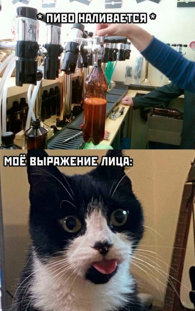Картинки и мемы, всем хороших выходных