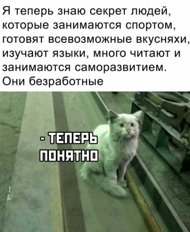 Вот что закалка и ЗОЖ творит