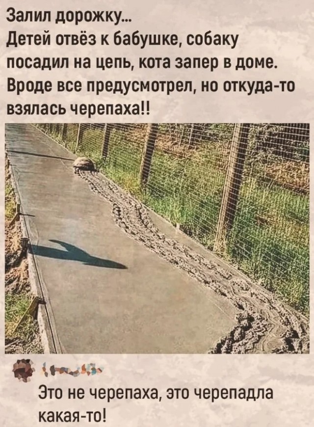 Что можно сделать против такого "профессионального соседа"?