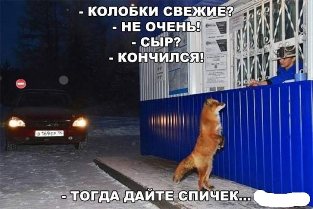 Четвёртая подборка самых баянистых баянов! Ностальгируем...