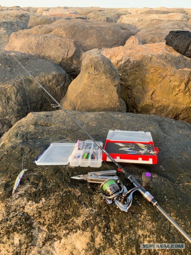 Спиннинг. ОАЭ. Рас Аль Хайма