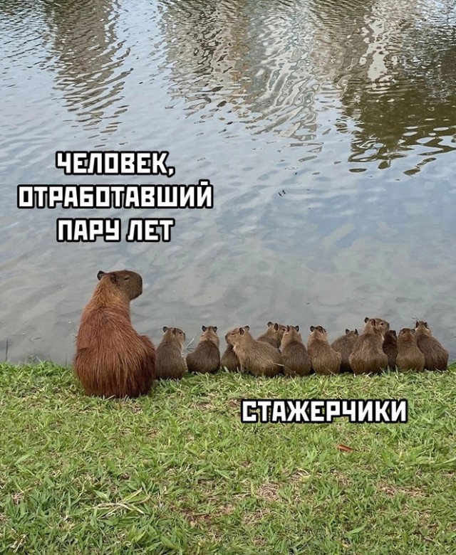 Весёлый полтишок 30.07.23