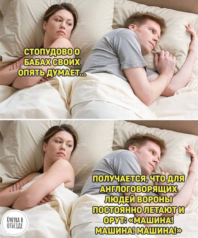 Весёлый полтишок 07.08.23