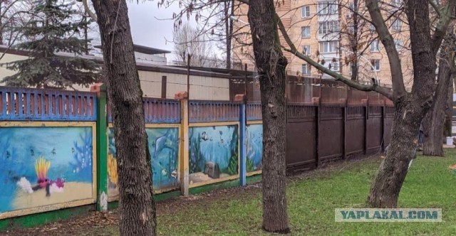 банка краски