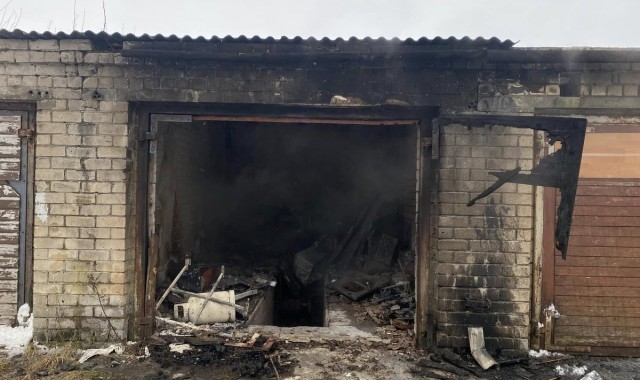 Я не знаю, за що их, но видимо не прижились среди местных.