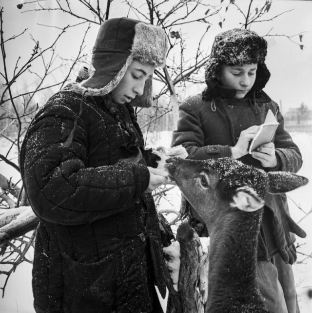Фотографии из прошлого нашей страны – 95
