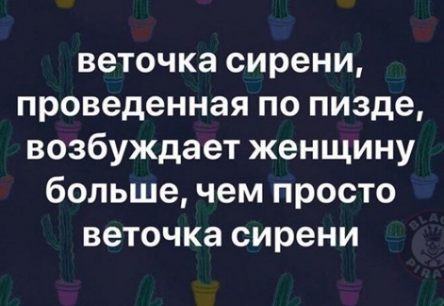 Падонги! Подчистил телефон. 15 есчё