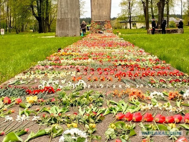 9 Мая! День Победы! Таллинн, Эстония