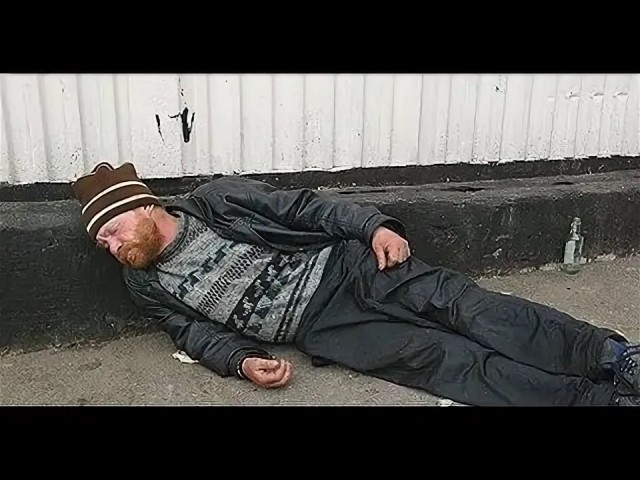 В догон про гигантских Жуков