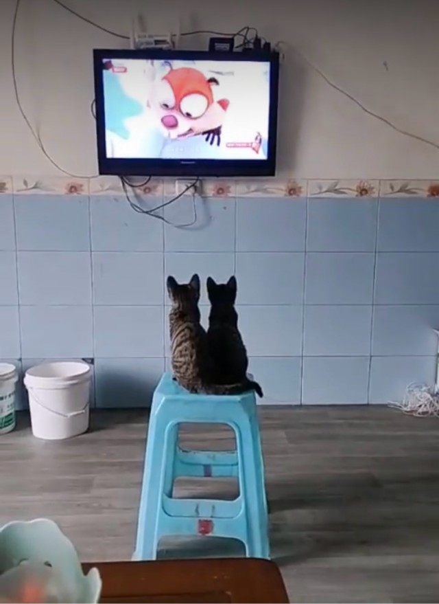 Так себе картинки 13.07.25