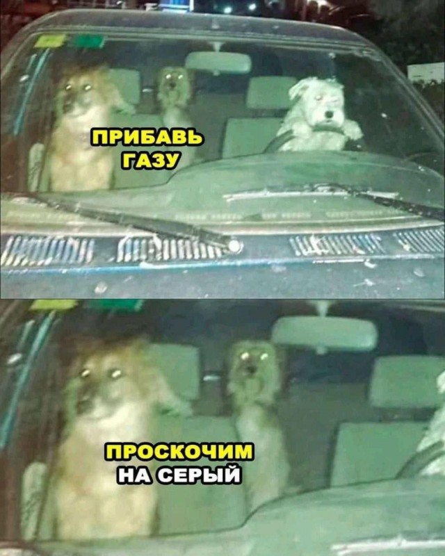 Картинки для деградации 3 (разной степени свежести)