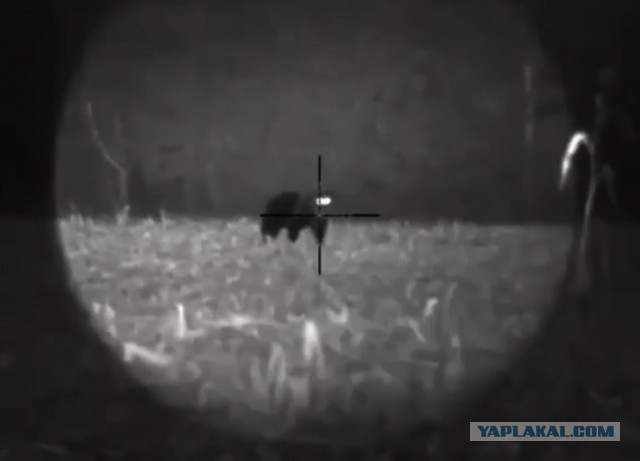 Не ждали? А он приперся!