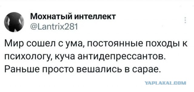 Куча-мала № 5