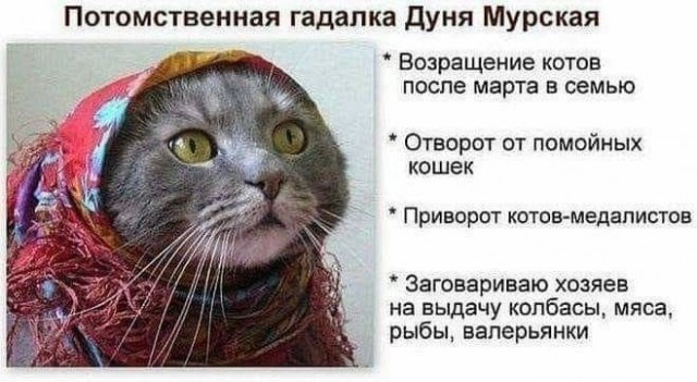Админ здорового человека