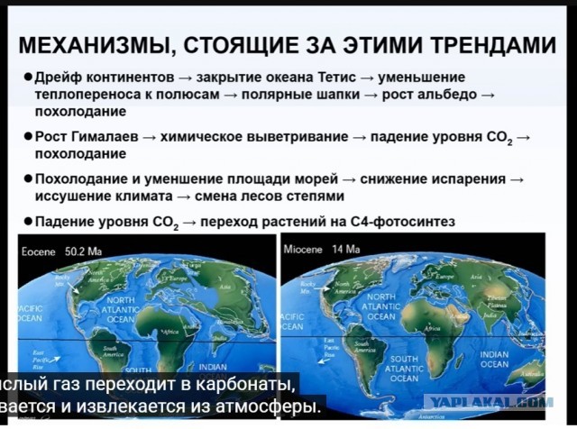 Альтернативная сборка: какой могла быть жизнь на Земле. Михаил Никитин Краткий пересказ одноименной лекции.