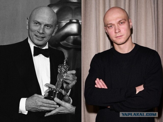 Эндрю, хелп ми!