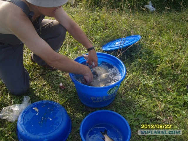 Поехали за грибами, приехали с карасями.