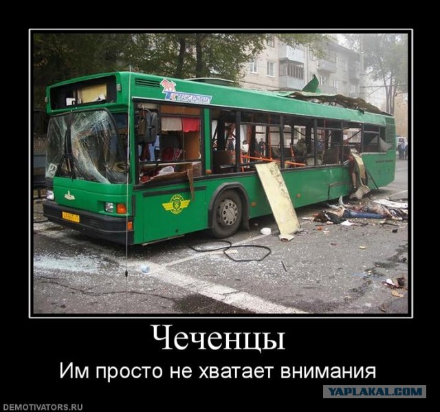 В Грозном офисы Билайна и Мегафона закидали яйцами