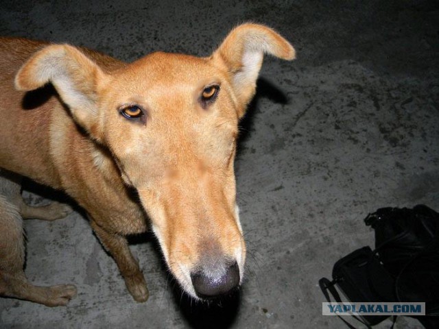 Интересный факт!