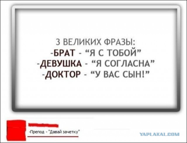 Смешные комментарии из социальных сетей 02.08.14