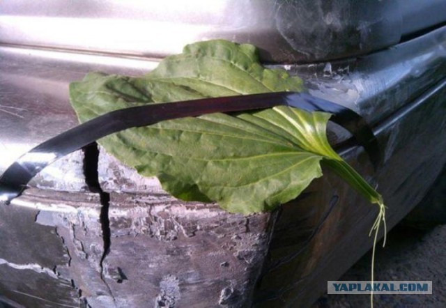 Поймать бы ту сволочь...