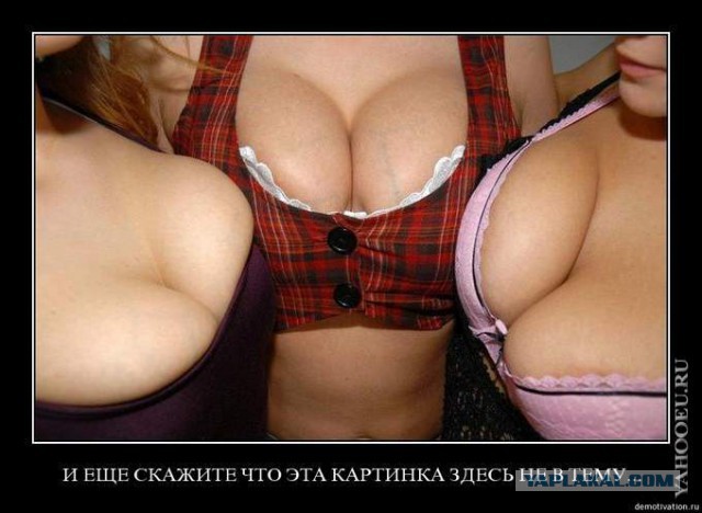 В предверии пятницы
