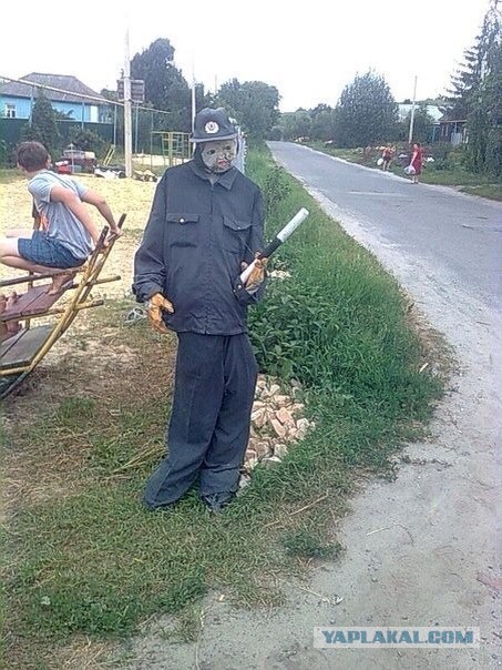 По родным просторам