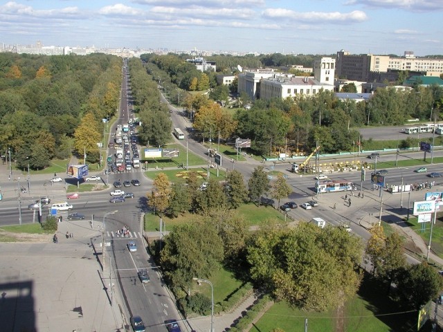 Когда деревья были большими